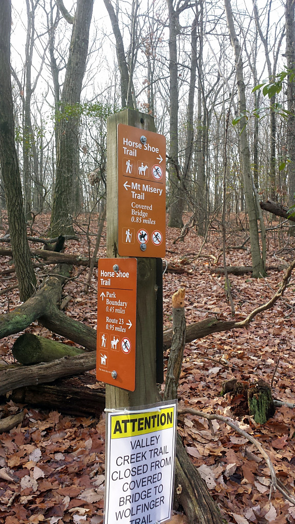 The intersection of the Mount Misery and Horseshoe trails.
