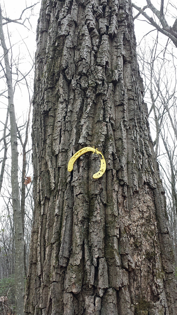 Trail marker on the Horseshoe Trail