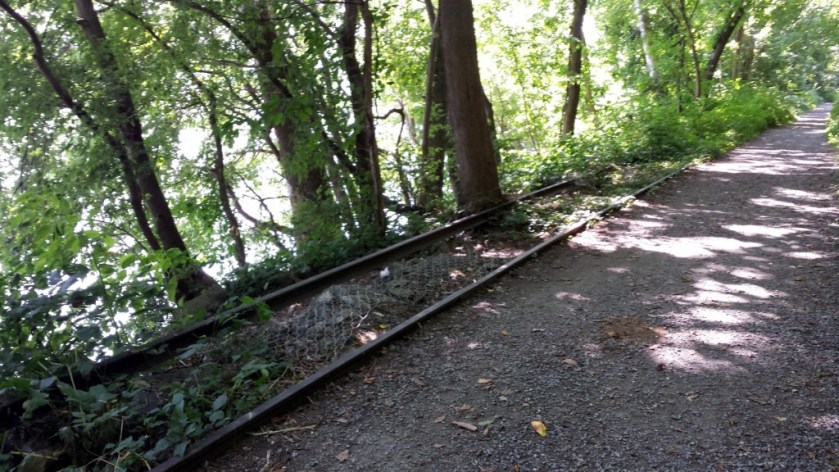 Remnants of the old railway along the Lower Susquehanna Heritage Greenway Trail. The railway was used to transport materials when the Conowingo Dam was under construction.