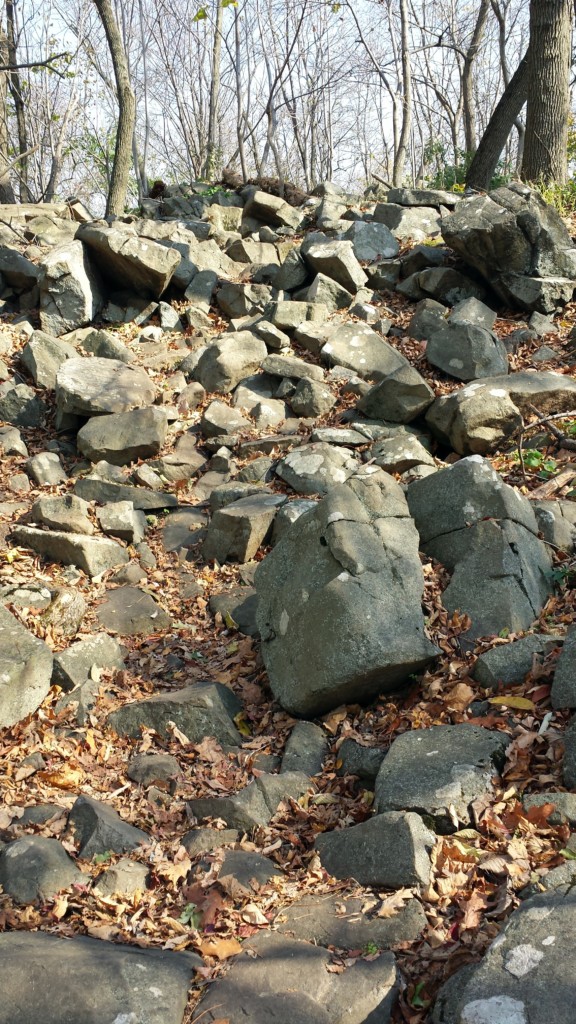 Monocacy Hill Trail. I encounterd a rock or two on the trail.