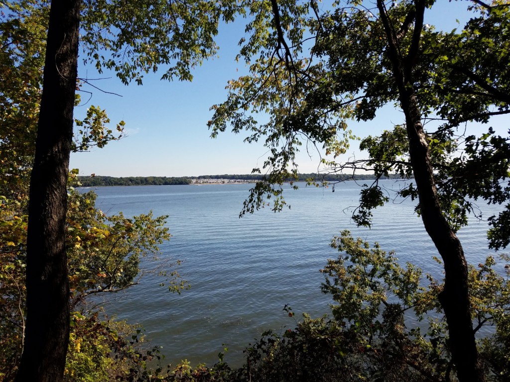 The view of the Elk River from Stony Point.