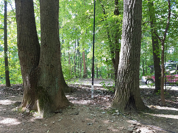 My antenna at Codorus State Park. The trees helped to maintain a low profile but probably didn't do much for its efficiency.