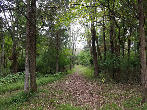 The Skippack Creek Loop Trail in Evansburg State Park