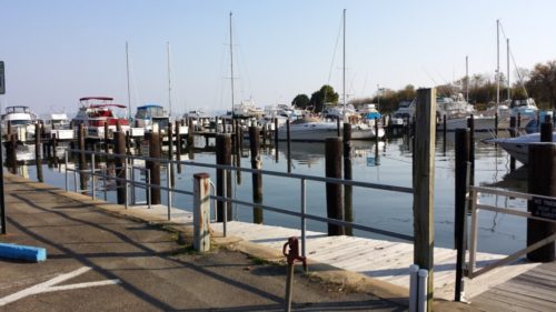 A view of the marina at Tydings Park