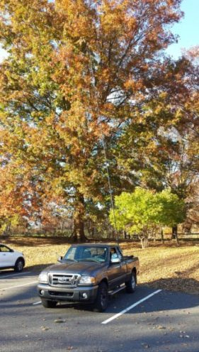 My “stationary-mobile” location in Upper Schuylkill Valley Park.