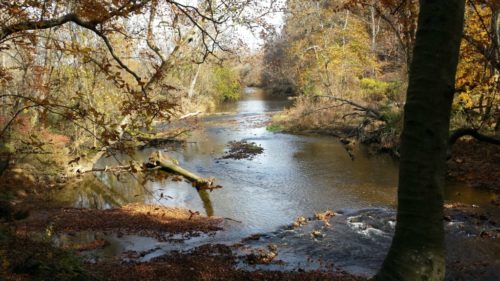 White Clay Creek Wild and Scenic River. Taken on the Pennsylvania side of the White Clay Creek Preserve.