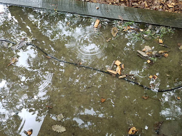 The aftermath of one of the storms that rolled through Elk Neck State Park. My coax cable resembled the Transaltlantic Cable.