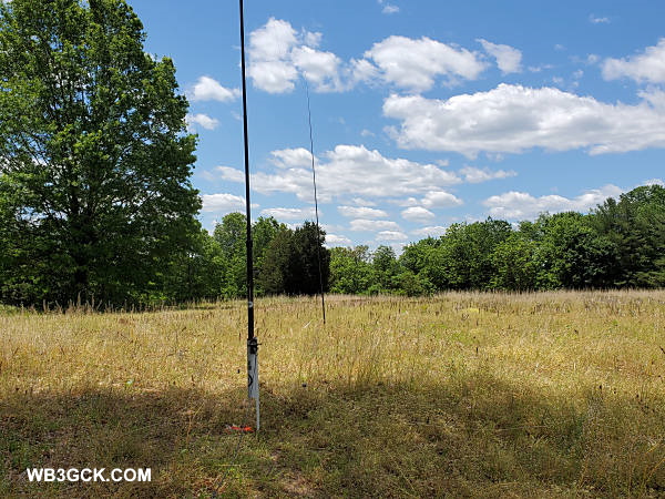 These are the two poles I used to support the Speaker Wire Half-Square. Unfortunately, the wire is too thin to be visible in this picture.