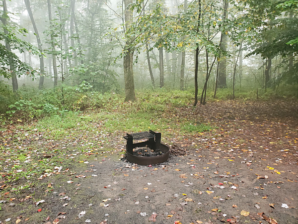 This was our view from the camper. During a brief break from the rain on Saturday evening, the fog rolled in.