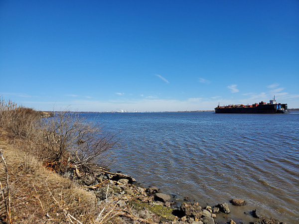 A cargo ship making its way up the Delaware River at Fox Point State Park