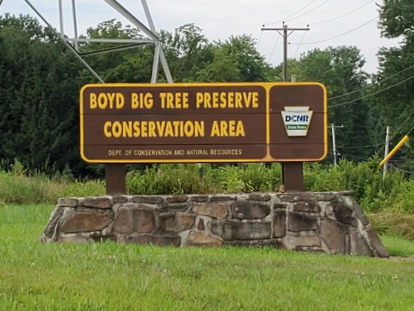 Boyd Big Tree Preserve Conservation Area entrance. You can see one leg of a huge high tension tower behind it. Fortunately, the powerlines didn't run near the parking lot.