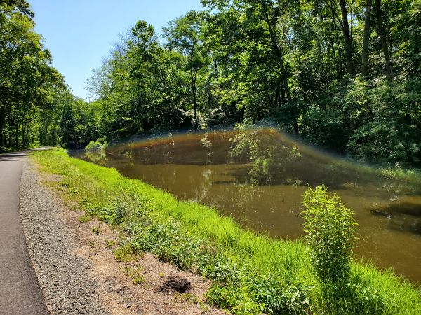 A short stretch of the canal from which Towpath Park derives its name. The bright sunlight caused a strange rainbow effect in the picture.