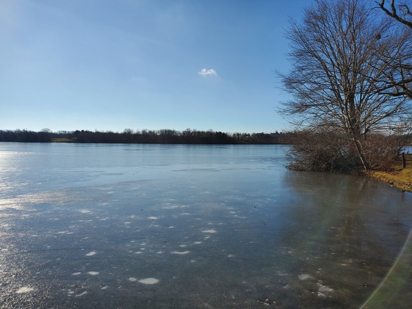 Memorial Lake. There was a thin layer of ice in this area.