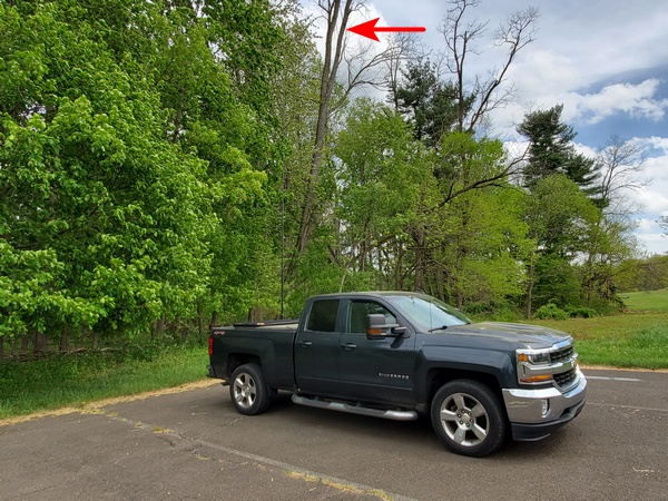 My location today at Valley Forge National Historical Park (K-0761). The dead tree in the background was really starting to sway in the wind.