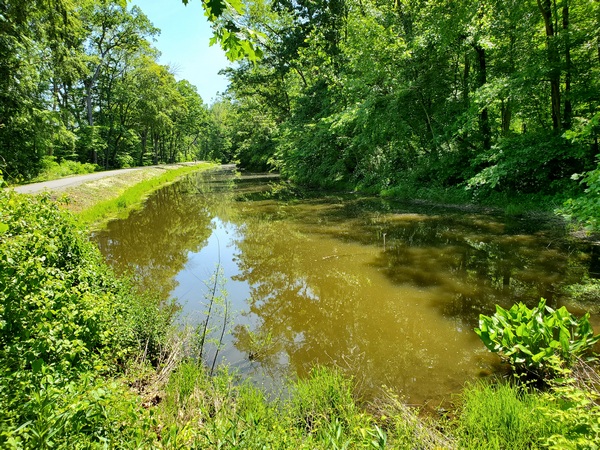 My view of the old Schuylkill Canal in Towpath Park