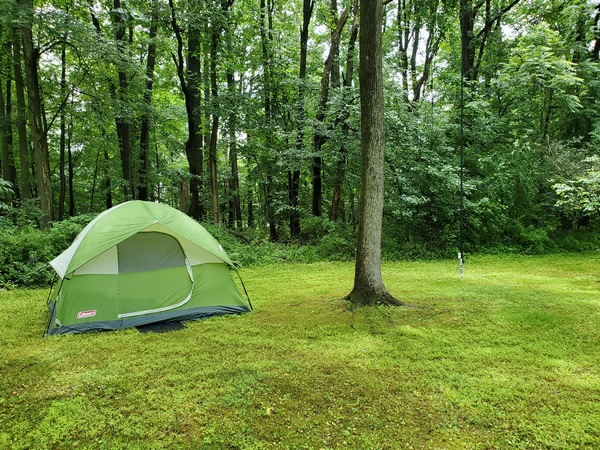 WB3GCK's tent with my vertical to the right of the tree