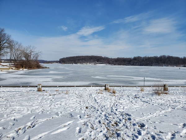 The view from my mobile shack