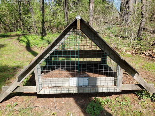 This empty cage was located in the back of the clearing I was in. I have no idea what kind of critter it might have been used for.