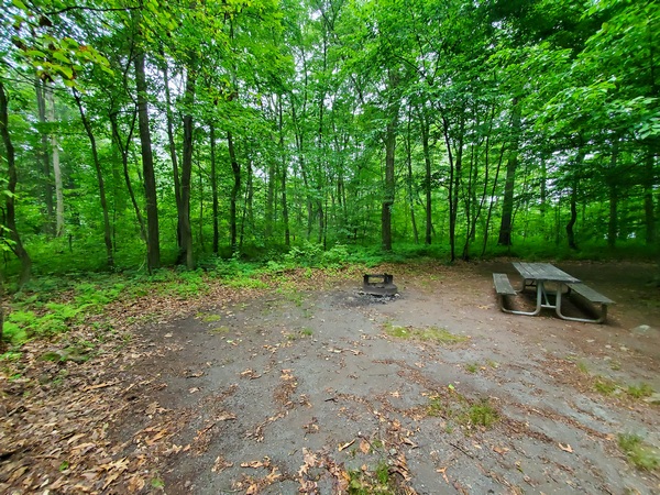 The view from the camper