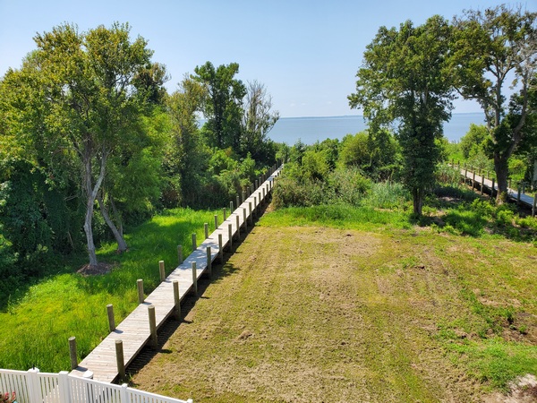 The view from the antenna